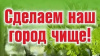 Проведение общегородского субботника