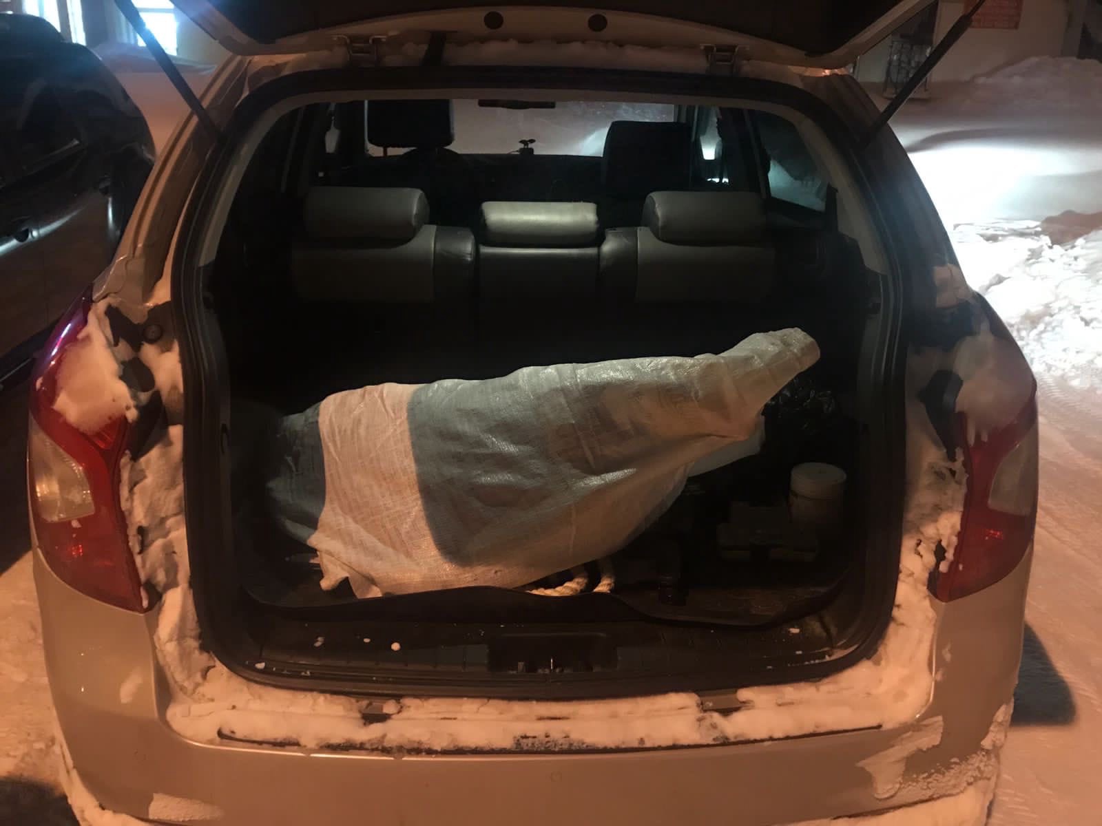 Полицейские Белоярского расследуют дело о краже жеребца Полицейские Белоярского расследуют дело о краже жеребца